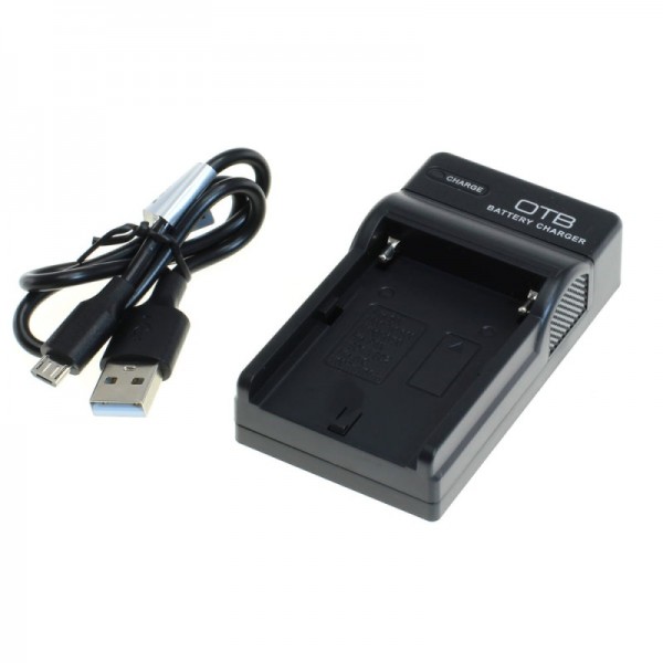 chargeur de batterie pour Sony CCD-TR76